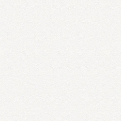 Primaire D'accrochage pour peinture a effet, blanc, 1.000 l - MAISON DECO