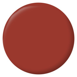 Peinture mur, RIPOLIN cuisine et bain, 0.75 litre, rouge terracotta satin - RIPOLIN