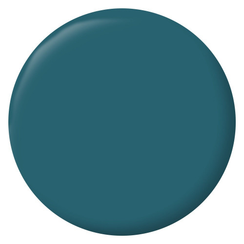Peinture bleu ainhoa mur, boiserie, radiateur RIPOLIN velours 0.5 l - RIPOLIN