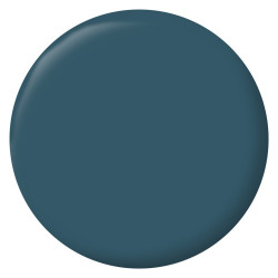 Peinture bleu seychelles mur, boiserie, radiateur RIPOLIN satine 0.5 l - RIPOLIN