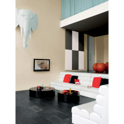 Peinture Caravane Des Sables Satin Dulux Valentine Crème De Couleur 2.5 L - DULUX VALENTINE