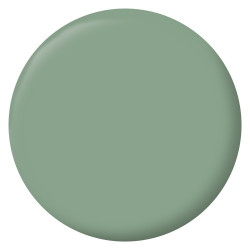 Peinture intérieur mur/boiserie/radiateur satiné, RIPOLIN,  vert simsun, 2.5 litres - RIPOLIN