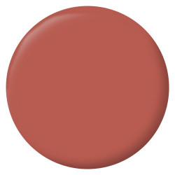 Peinture intérieur mur/boiserie/radiateur satiné, RIPOLIN, rouge chianti, 2.5 litres - RIPOLIN
