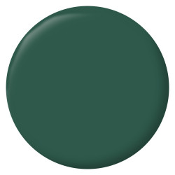 Peinture intérieur mur/boiserie/radiateur satiné, RIPOLIN, vert cardo, 0.5 litre - RIPOLIN