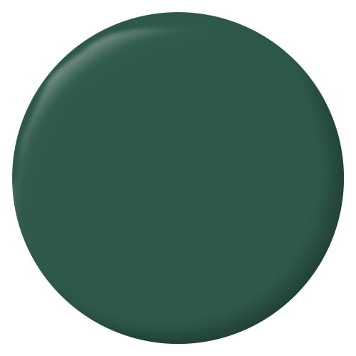 Peinture intérieur mur/boiserie/radiateur satiné, RIPOLIN, vert cardo, 0.5 litre - RIPOLIN
