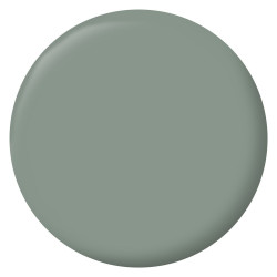 Peinture intérieur mur/boiserie/radiateur satiné, RIPOLIN, vert nobile, 2.5 litres - RIPOLIN