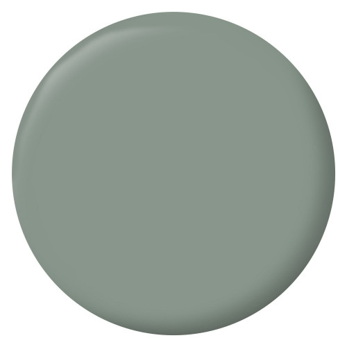 Peinture intérieur mur/boiserie/radiateur satiné, RIPOLIN, vert nobile, 2.5 litres - RIPOLIN