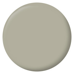 Peinture mur, boiserie, radiateur vert bourrache mat RIPOLIN Interieur 2.5l - RIPOLIN