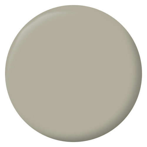 Peinture mur, boiserie, radiateur vert bourrache mat RIPOLIN Interieur 2.5l - RIPOLIN