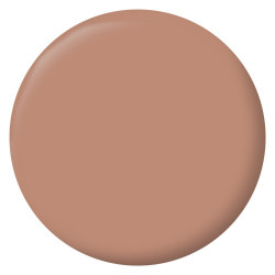 Peinture ocre wadi mur, boiserie, radiateur RIPOLIN velours 0.5 l - RIPOLIN