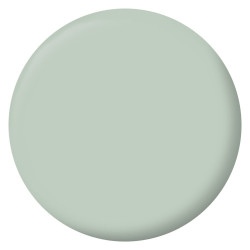 Peinture vert palatino mur, boiserie, radiateur RIPOLIN velours 0.5 l - RIPOLIN
