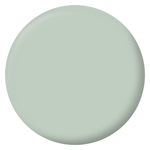 Peinture vert palatino mur, boiserie, radiateur RIPOLIN velours 0.5 l - RIPOLIN