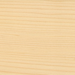 Badigeon Le badigeon LIBERON bois brut mat 0.75 l - LIBERON