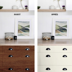 Peinture pour meuble Relook Maison Deco blanc bouleau  satiné 0.2L - MAISON DECO