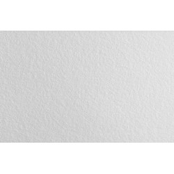 Voile de verre 130 g/m² anti-moisissure 20 m x 100 cm, prépeint - Sans marque