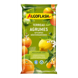Terreau pour agrumes et plantes méditerranéennes, ALGOFLASH 6 litres - Algoflash