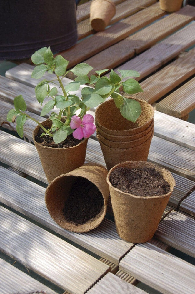 Godets ronds NORTENE Growing Ø6 cm 24 Pots - vue 2