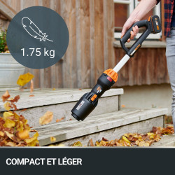 Souffleur sur batterie WORX Wp544e.9 20 V sans batterie - Worx