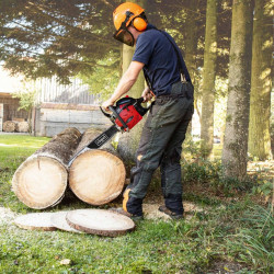 Tronconneuse thermique SCHEPPACH 53 cm? - SCHEPPACH