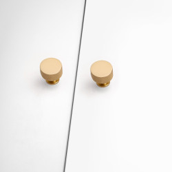 Lot de 10 boutons pour meubles Argos - diamètre 30mm - Aluminium - Or - EMUCA