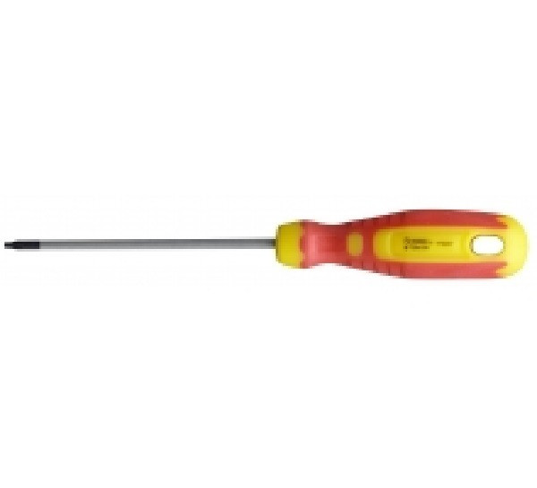 Tournevis T10 80 mm