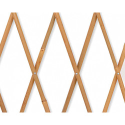 Treillage extensible droit en bois JANY TRADITION, l.200 x H.100 x P.3 cm de marque Jany, référence: J9101400