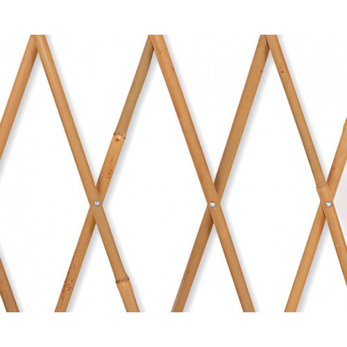 Treillage extensible droit en bois JANY TRADITION, l.200 x H.100 x P.3 cm - Jany