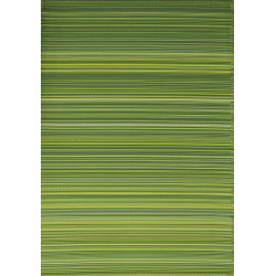 Tapis extérieur polypropylène recyclé 150 x 240 cm – Havane Vert de marque PROLOISIRS, référence: J9477100
