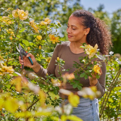 Sécateur de jardin – PremiumCut Flex – Ø coupe 24 mm – Ouverture réglable 2 positions - GARDENA