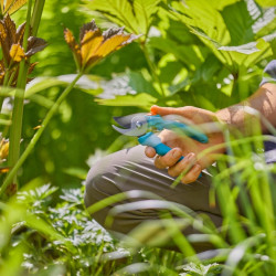 Sécateur de jardin – EasyCut – Ø coupe 20 mm – Lames inox PowerCoating - GARDENA