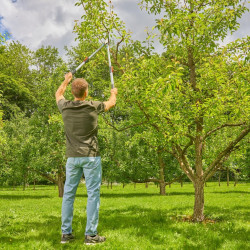 Coupe-branches télescopique – TeleCut Basic – Extension jusqu’à 900 mm – Ø coupe 42 mm - GARDENA