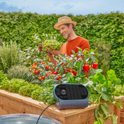 Kit d’arrosage solaire autonome – AquaBloom L – Jusqu’à 30 plantes – 14 programmes - GARDENA