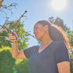 Sécateur de jardin – PremiumCut – Bois sec Ø 20 mm – Lames PowerCoating - GARDENA