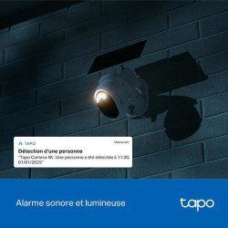 Caméra extérieure panoramique + panneau solaire TP LINK - TP LINK