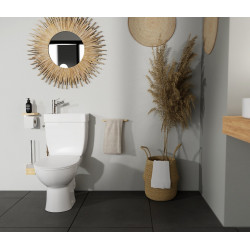 WC a poser sans bride sortie horizontale duo manille 3/6 litre godart de marque Godart, référence: B9506700