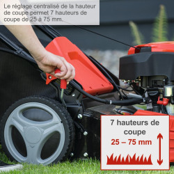 Tondeuse a essence SCHEPPACH Ms225-53e , 224 cm?, l.53 cm, demarrage electrique - SCHEPPACH