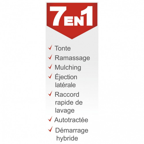 Tondeuse a essence SCHEPPACH Ms225-53e , 224 cm?, l.53 cm, demarrage electrique - SCHEPPACH