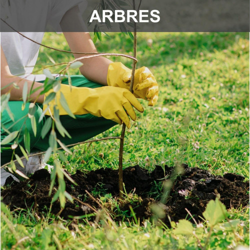 Tarière thermique, SCHEPPACH, 52 CC - SCHEPPACH