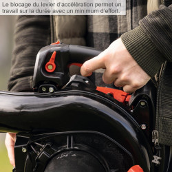 Aspirateur souffleur a essence SCHEPPACH Lbh3500p 25.4 cm? - SCHEPPACH