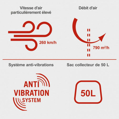 Aspirateur souffleur a essence SCHEPPACH Lbh3500p 25.4 cm? - SCHEPPACH