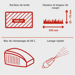 Tondeuse a essence SCHEPPACH MS-173-51 , 173 cm?, l.51 cm - SCHEPPACH