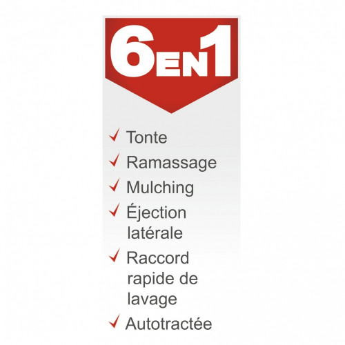 Tondeuse a essence SCHEPPACH MS-173-51 , 173 cm?, l.51 cm - SCHEPPACH