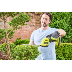 Sculpte végétaux RYOBI avec batterie 2 Ah RY18GSA - RYOBI