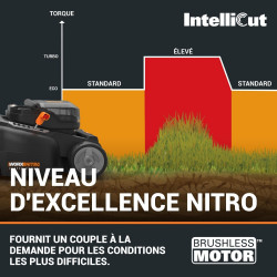 Tondeuse sur batterie WORX Wg737e.1 20 V, l.37 cm - Worx