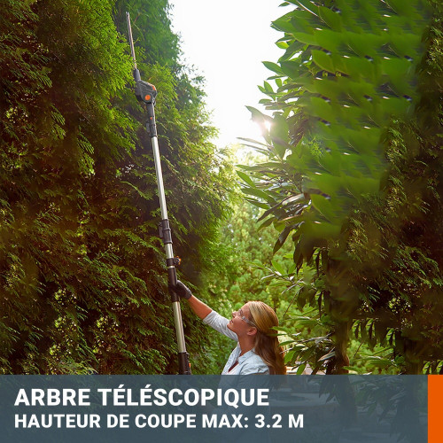 Taille-haies sur perche + elagueuse WORX 20V 2 AH WG908E.1 - Worx