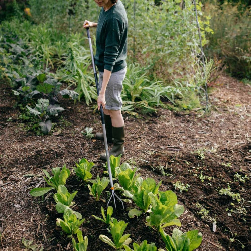 Cultivateur Ergonomic - FISKARS