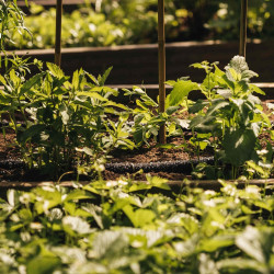 Tuyau porreux 15 m - FISKARS