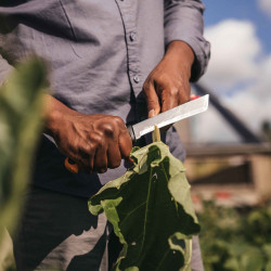 Couteau de récolte X-series™ K82 - lame fixe en acier inoxydable - étui en plastique dur - FISKARS