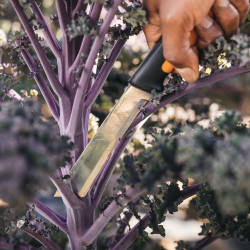 Couteau de récolte X-series™ K82 - lame fixe en acier inoxydable - étui en plastique dur - FISKARS