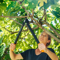 Coupe-branches PowerGear L74 M à crémaillère et à lame franche 55cm - FISKARS
